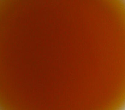 557201_Gourmet-Braten-Wuerzung_AF_250x285
