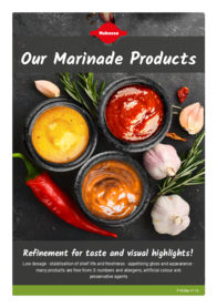 Flyer about Marinade products