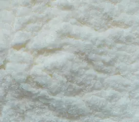 Zwiebel Spezial CL/AF
