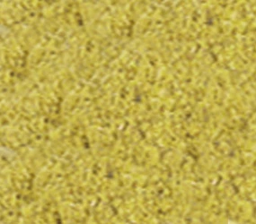 Fenchel gemahlen