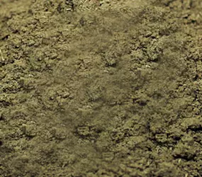 Thymian gemahlen
