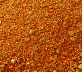 Nuba-Bacon-Würzer grob