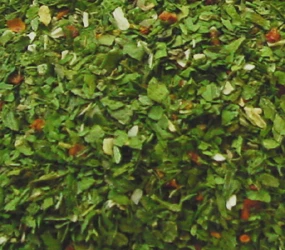 7-Kräuter Mix