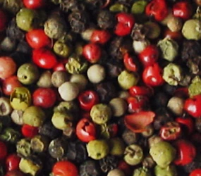 Nuba-Calypso-Pfeffermischung ganz CL/AF