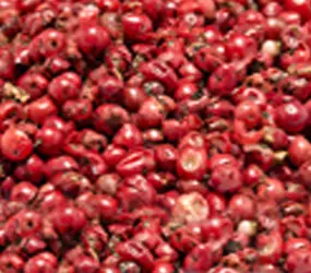 Rosa Beeren, ganz
