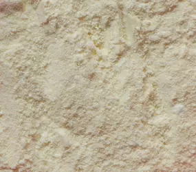 Walnussaroma CL/AF -verstärkt-