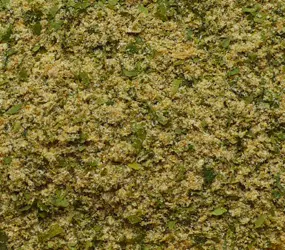 Gewürzsalz Jalapeño