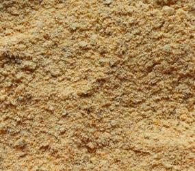 Rostbratwurst Thüringer Art "Golden Spice" CL