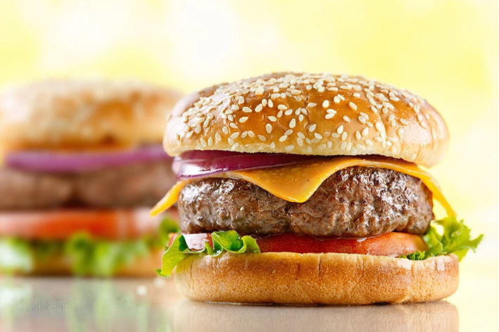 Hamburger/Beefburger
