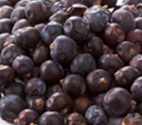Wacholderbeeren ganz