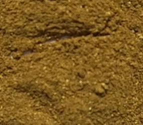 Lebkuchen-Traum