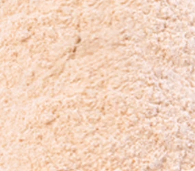 Zwiebelpulver