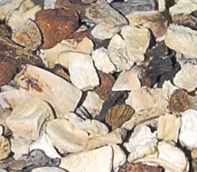 Mischpilze getrocknet AF