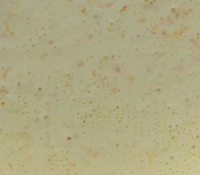 Basissauce für Geflügelsalat