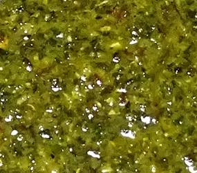 Quicksoft Chimichurri CL/AF