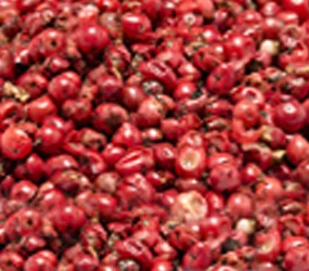 Rosa Beeren, ganz