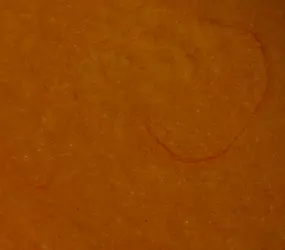 Quicksoft Wiener-Rahm CL/AF