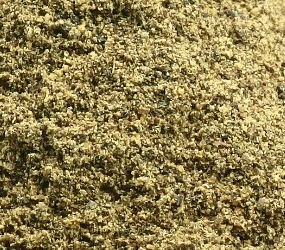 Oregano gemahlen