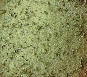 Räucherfisch
