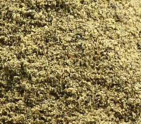 Oregano gemahlen