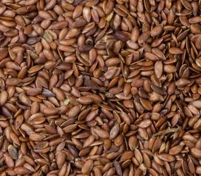 Leinsaat braun