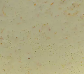 Basissauce für Geflügelsalat