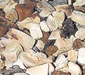 Mischpilze getrocknet AF