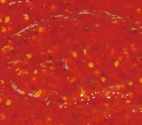 Quicksoft Barbecue Rio-Rahm CL