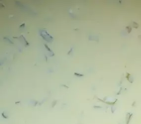 Basissauce für Fleischsalat
