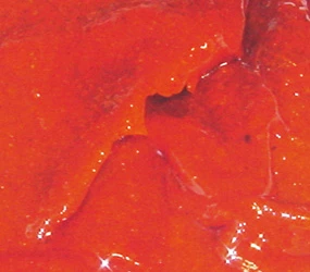 Quicksoft Grillhähnchen CL