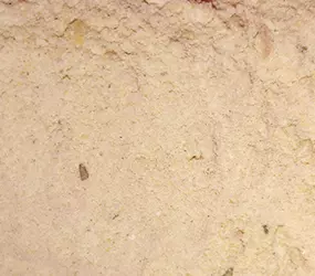 Panade-Fix Parmesan-Rosmarin