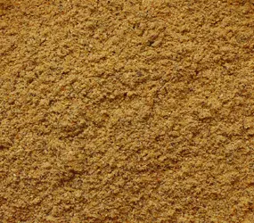 Krakauer ohne Paprika CL