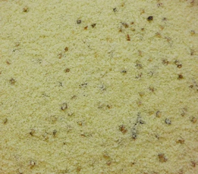 Holsteiner Cervelat CL/AF