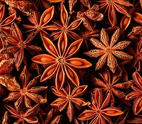 Sternanis ganz