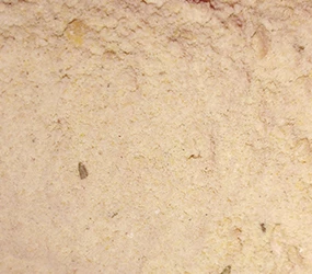 Panade-Fix Parmesan-Rosmarin
