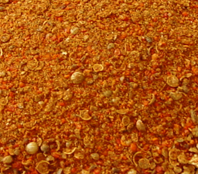 Nuba-Bacon-Würzer grob