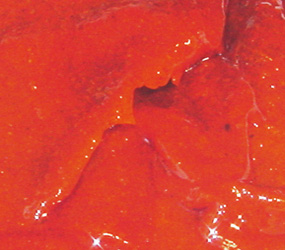 Quicksoft Grillhähnchen CL